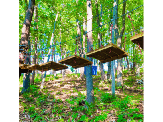 木漏れ日の中で味わう達成感と爽快感!