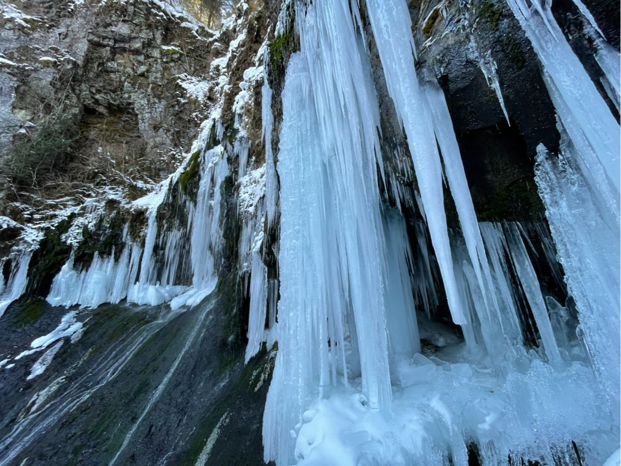 ~łcA[\łIꏊɂĂ̓Xm[V[Ă܂ōsyނƂł܂B