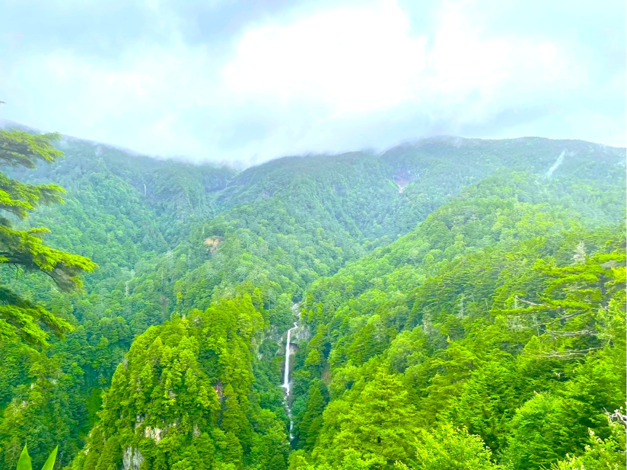 ؔт𔲂ƌSԑB50m̒ełB݂ősႢ܂BœĂȂCsꂽXႢ܂B