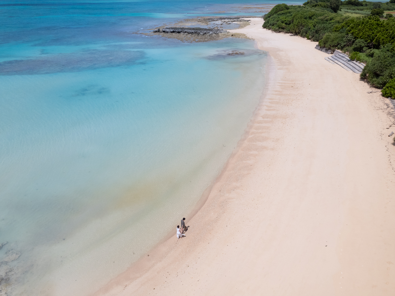 �����낷�i�F���A���グ������B�S���A�ӂ���̋L�O���B