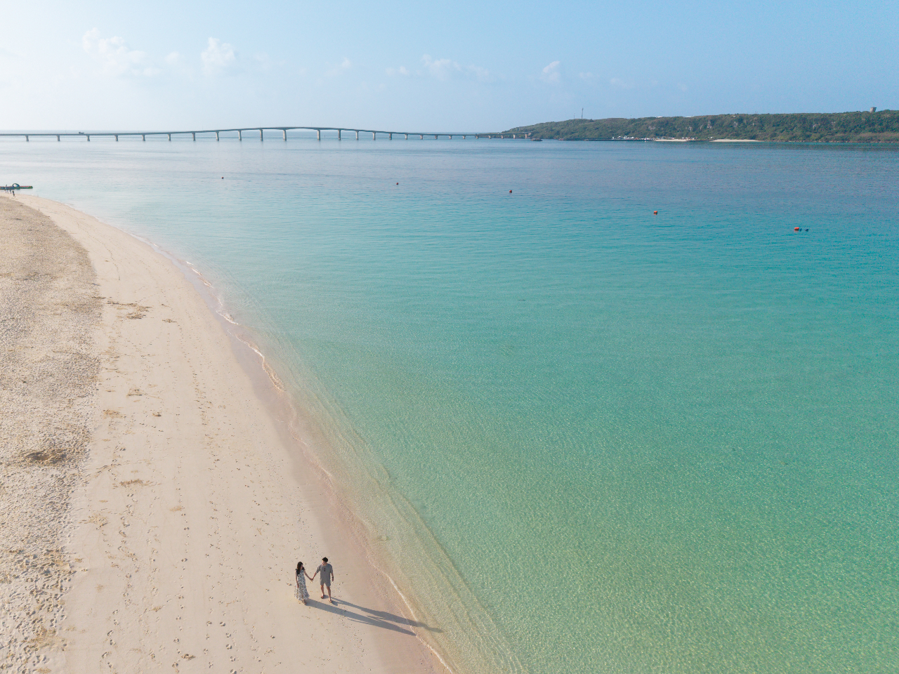 ���l�{�C�{�h���[�����g����100%�h�t�H�g�B