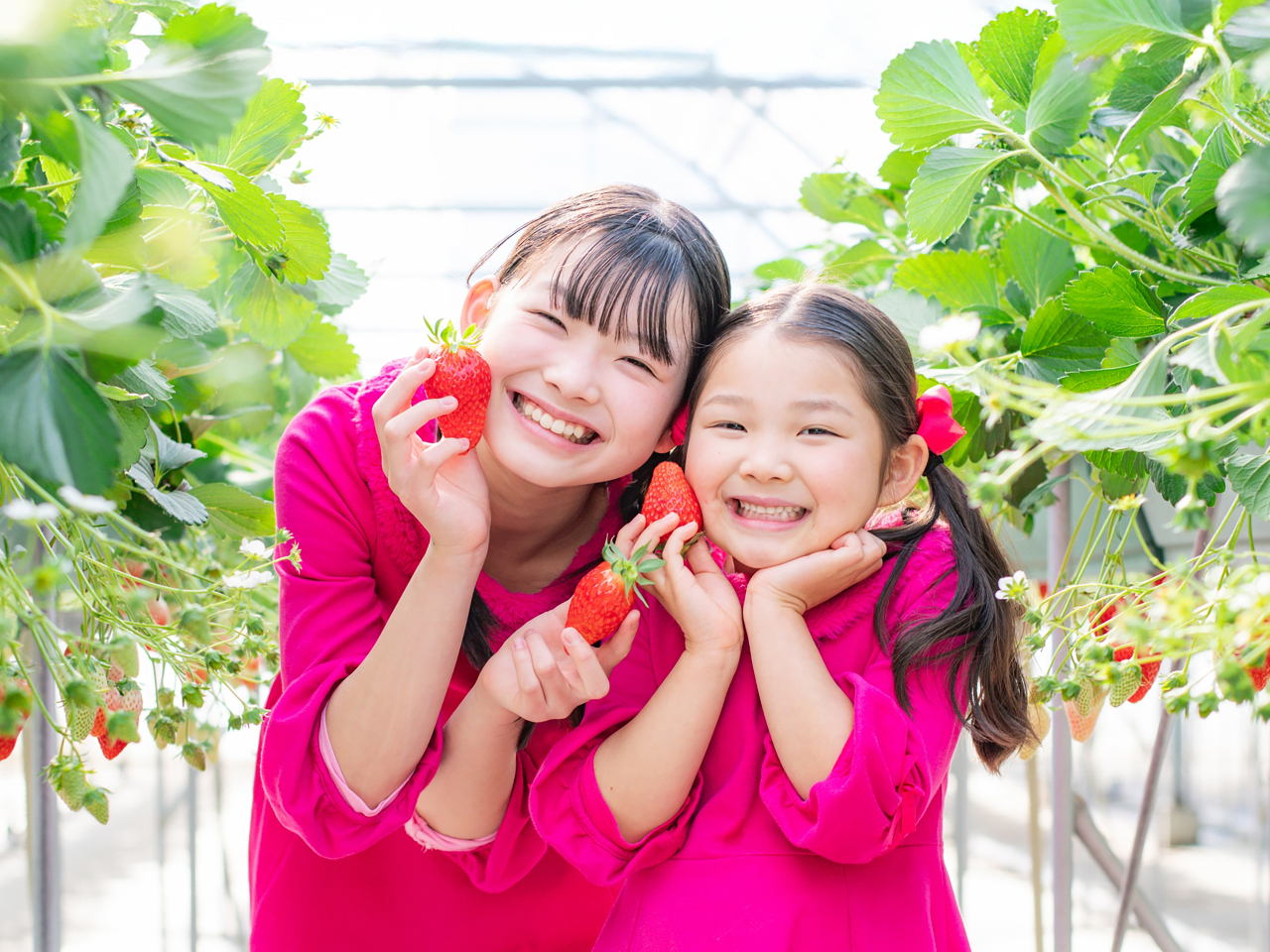【土日祝プラン】6種類のいちごが30分間食べ放題♪さらに練乳の無料サービスも魅力...