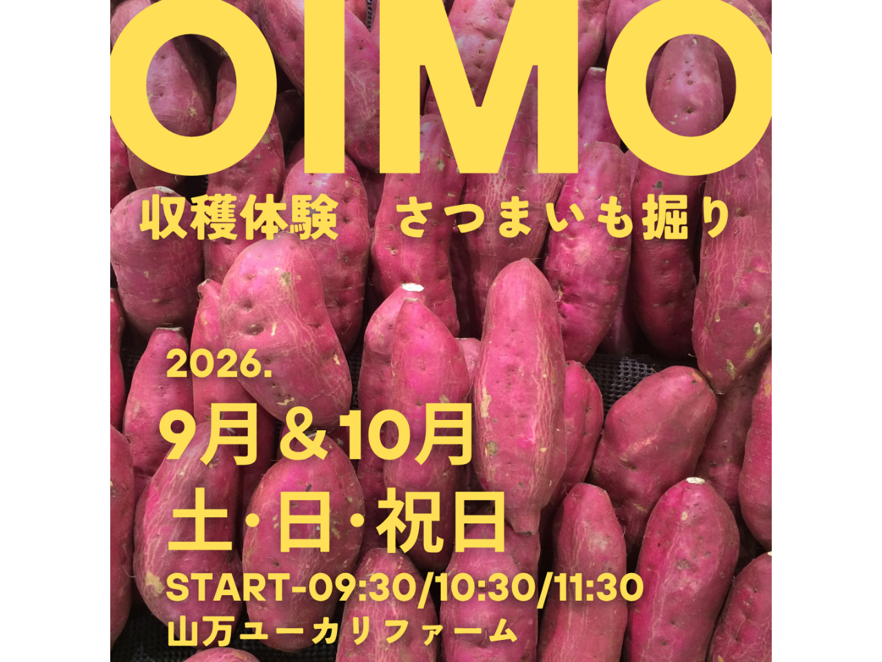 �y���܂����u�g�͂邩�v���n�̌��I�z�ő�4�������A��OK�I���R��y�ɐG���I�_�Ƒ̌��Ƃ��Ă��q�l�͂������I��l�̕����y���߂܂��I~�t�@�~���[�ɃI�X�X��~
