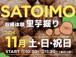 里芋収穫で自然体験にレッツゴー♪秋の味覚アウトドア体験はこれで決まり!