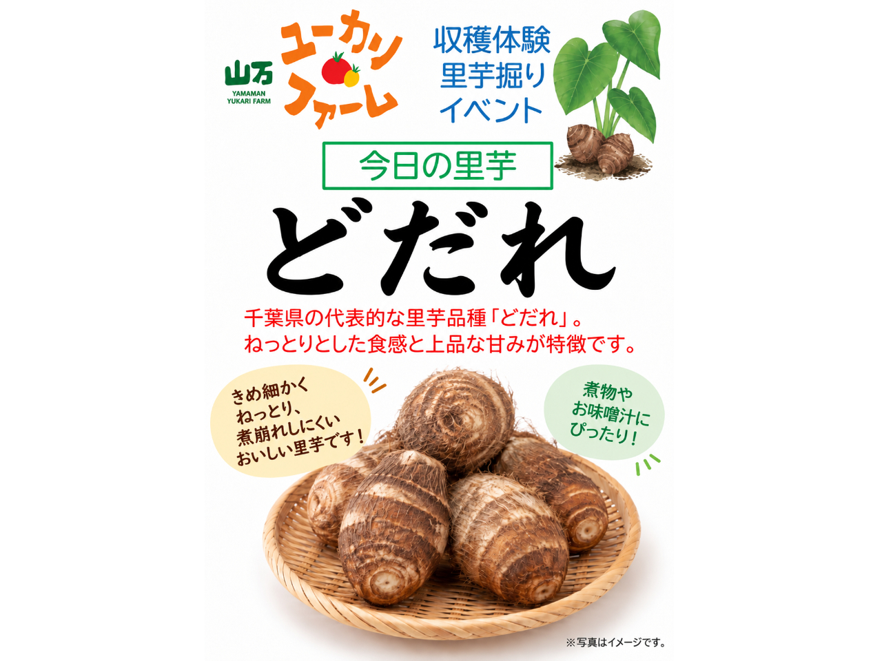 ���l�i��͗����̑�\�I�u�ǂ���v����ł���