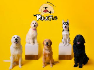 皆様のお越しをお待ちしております