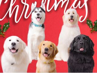 皆様のお越しをお待ちしております。