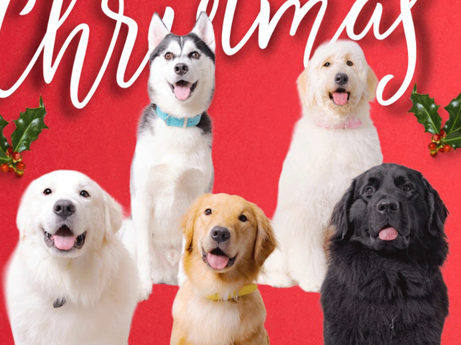 �F�l�̂��z�������҂����Ă���܂��B