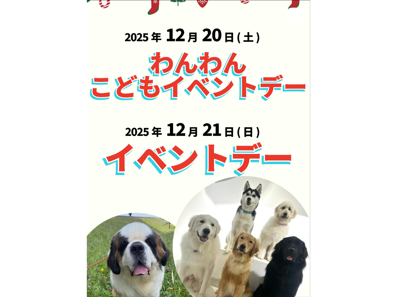 �Z���g�o�[�i�[�h�̃I���g���񗈓X�I