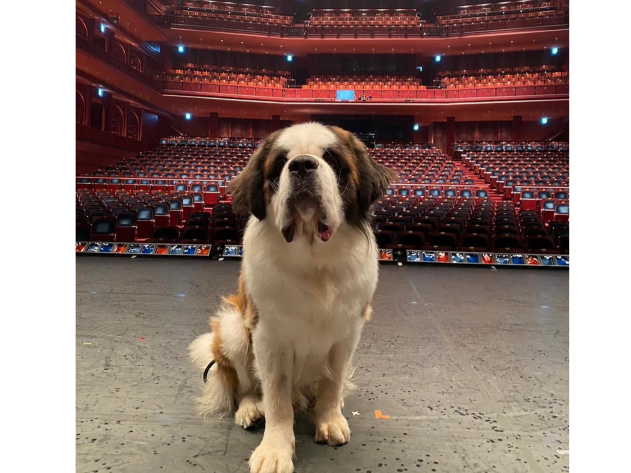 ����t�@�C���f�B���O�E�l�o�[�����h�Ŋ��􂵂��I���g���񂪂���Ă���I