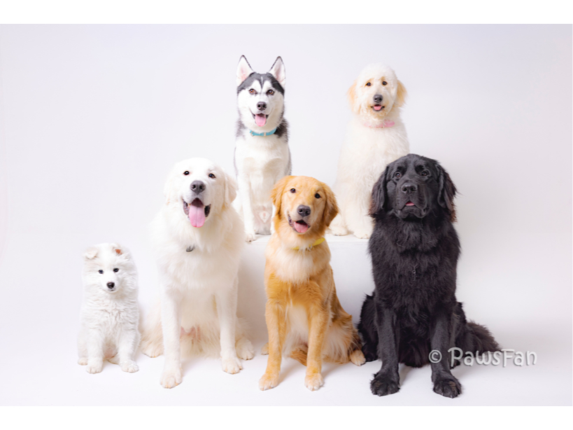 �F���܂̂��z�������҂����Ă���܂��B
