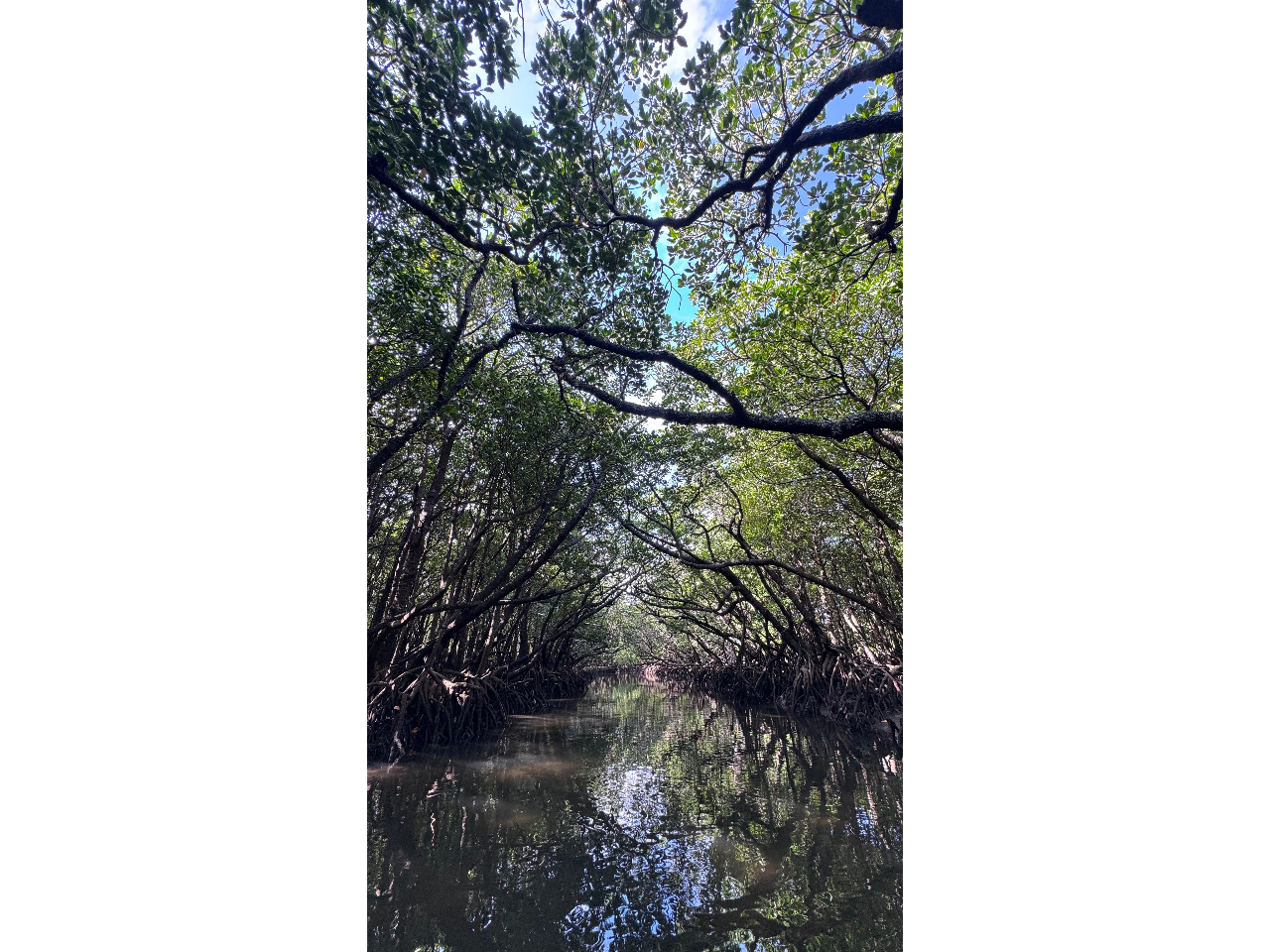 �}���O���[�u�g���l����