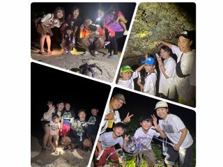 ヤシガニ&星空ナイトツアー