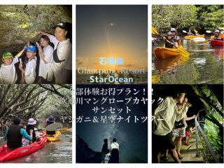 ナイトツアーで見られる生き物たち♪