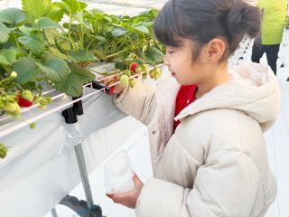 \頑張って見つけたいちごは格別/