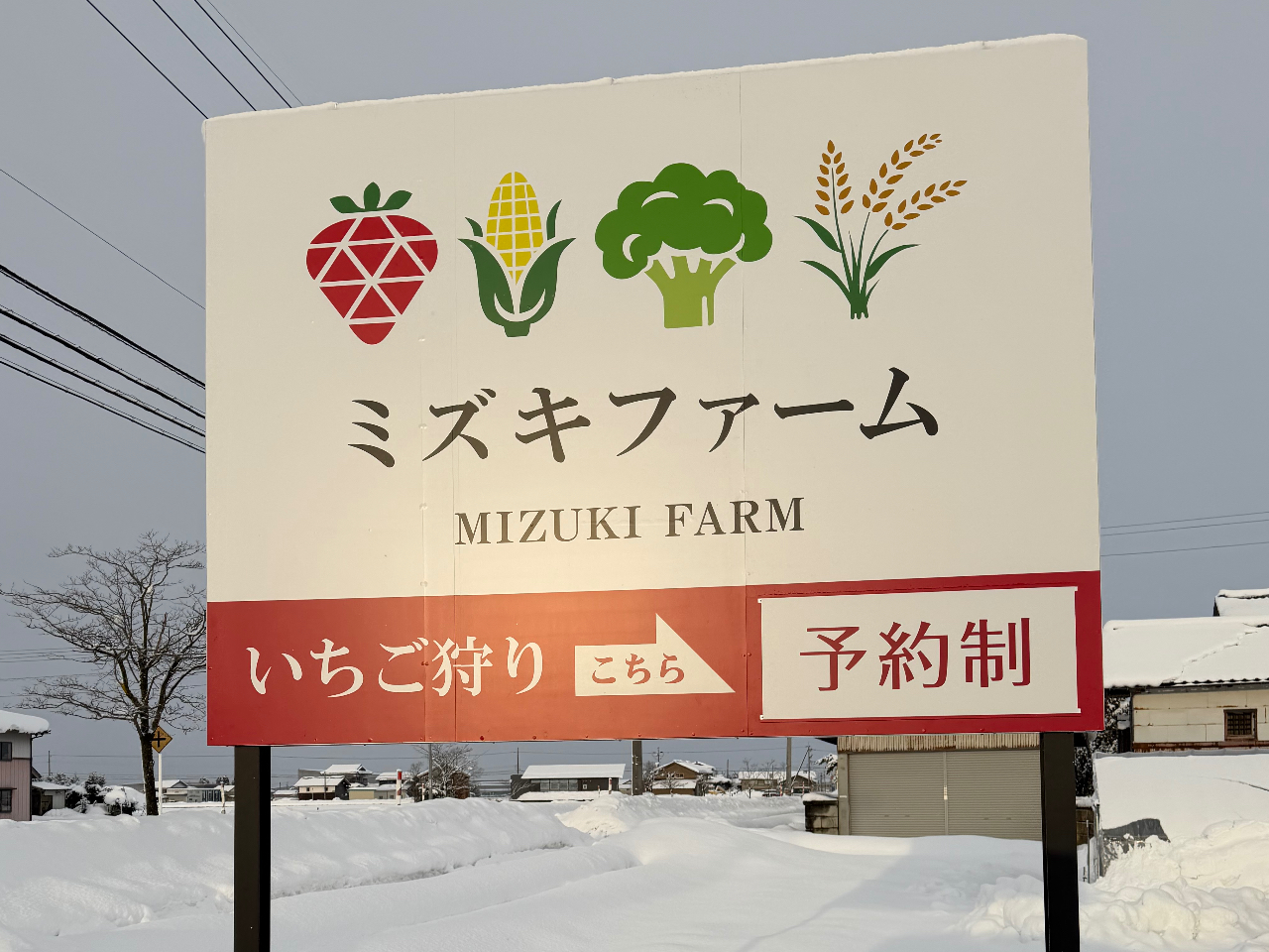 �_����359�������̑傫�ȊŔ��ڈ�I�^