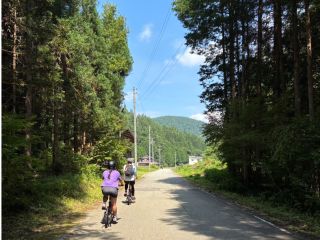 夏の季節