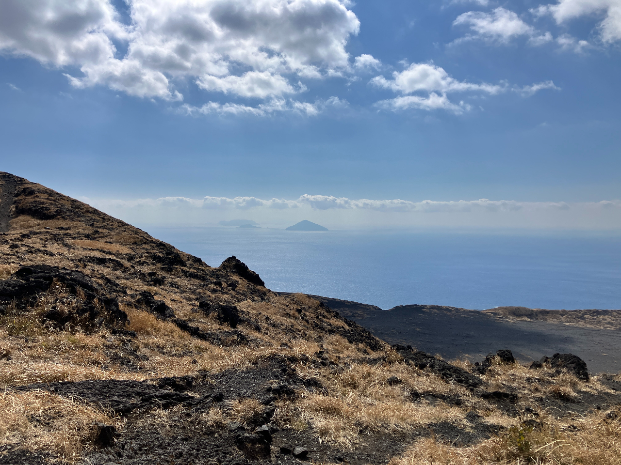 ꂽ͑̓X̌iFɂo܂B