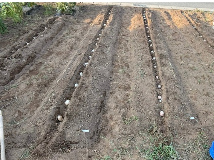 ���Ⴊ�����A���t���@2���㔼?3���A9��