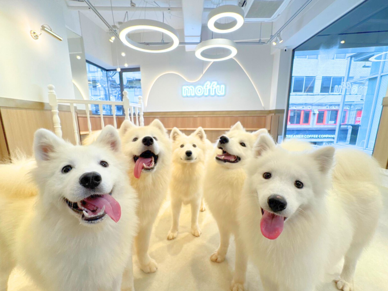 ���ӂ��ӂł��킢���ł��ˁ�