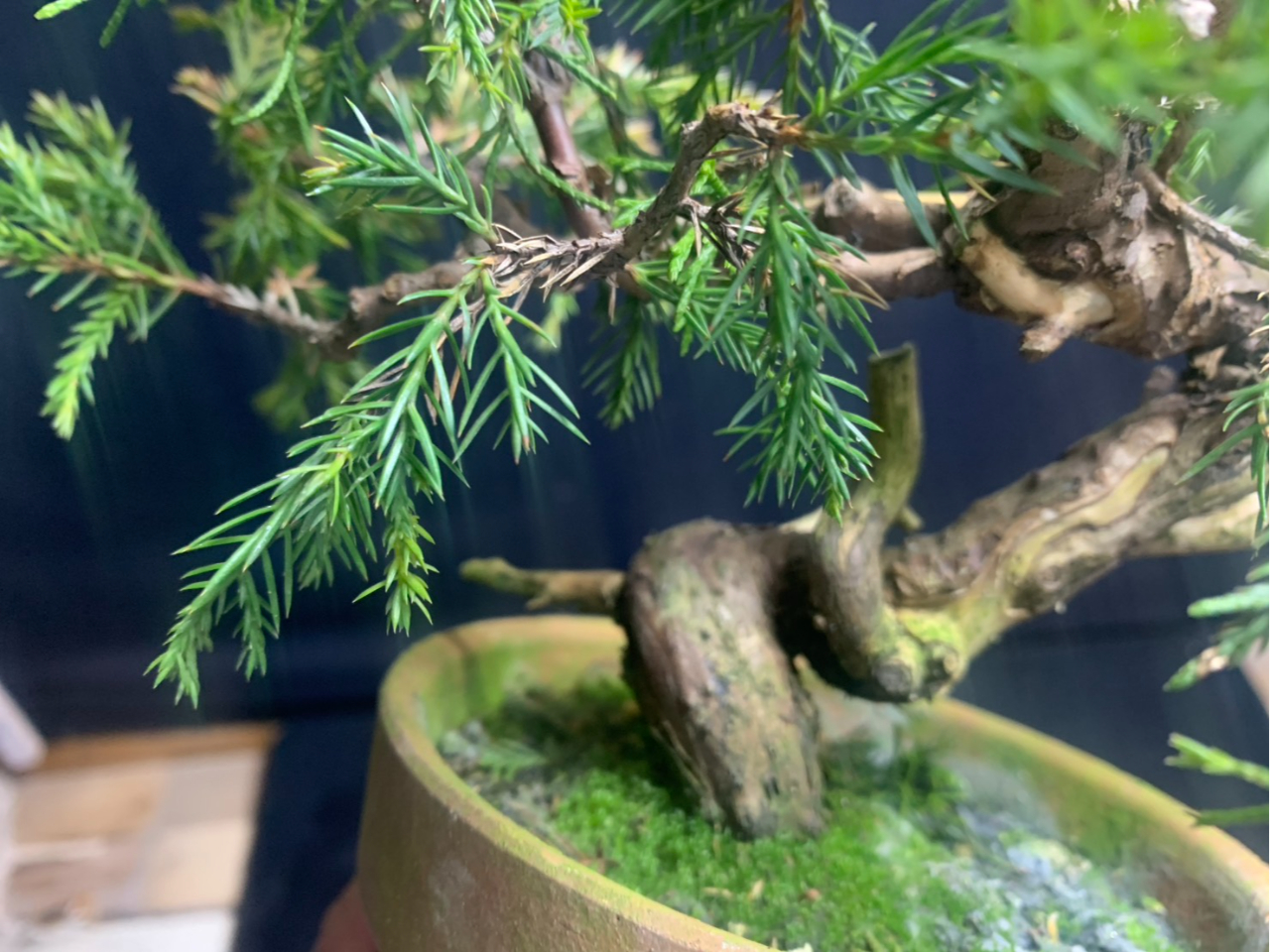 1�`2���̋��ށF�^��