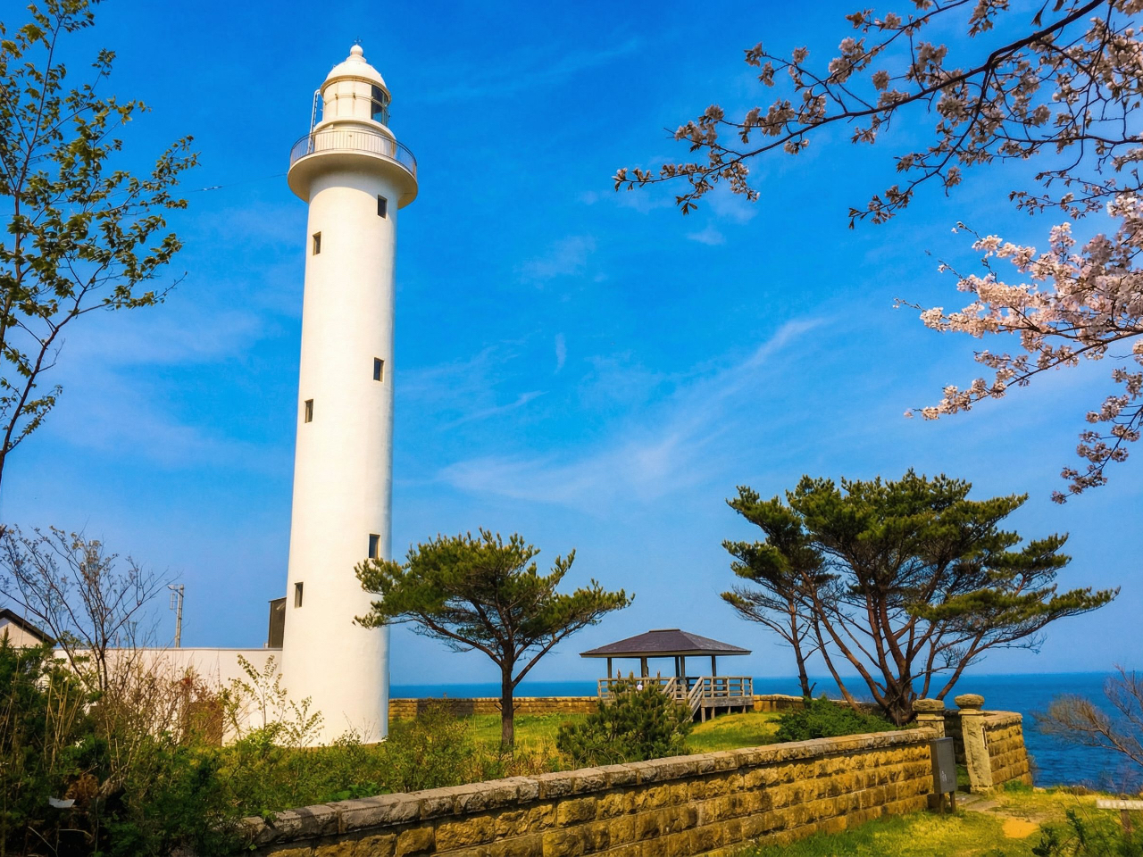 �g�h���蓔��i����̒��ɂ͓���܂���j