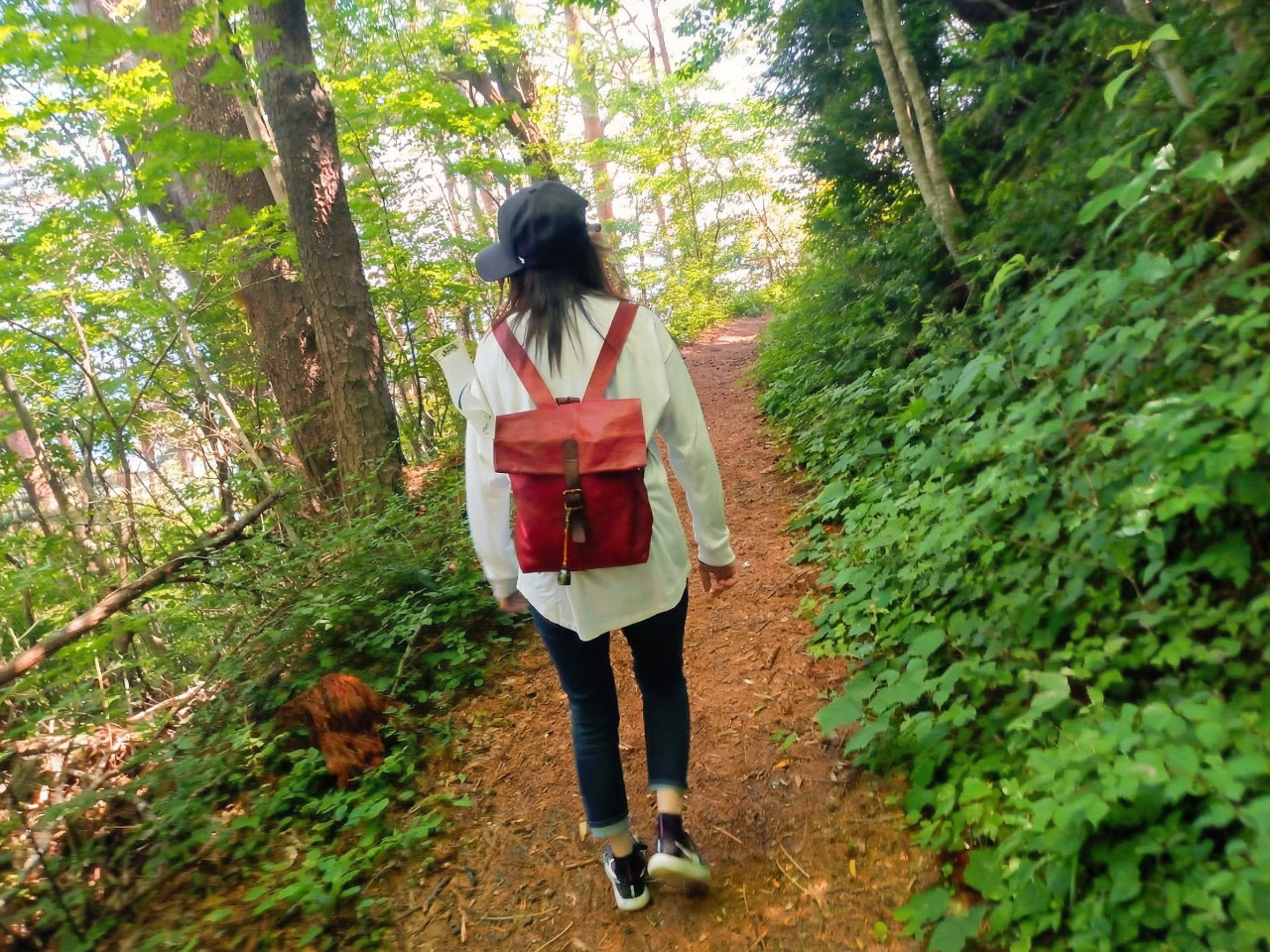 �k����P���Ԕ��B�݂��̂������g���C���̃��[�g�̒��ł���r�I�A���S�҂ɂ₳�����R�[�X�ƂȂ�A����Ă��Ȃ����ł����S���Ă��Q�����������܂��B