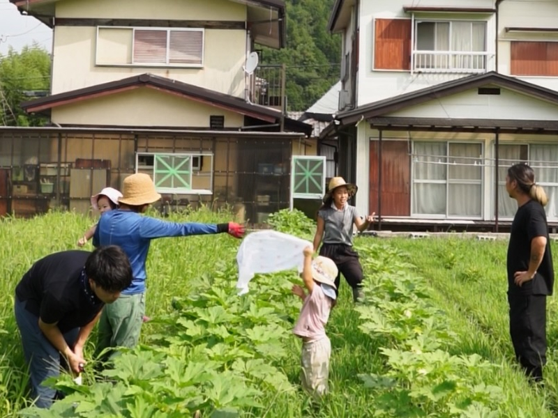 �Ă̎��n�̌��̗l�q