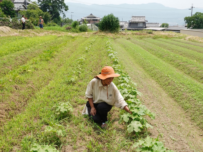 ���s�{�T���s�̎��Д_��