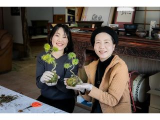 女子旅・カップル・お友達・ファミリーに人気の手作り苔玉体験