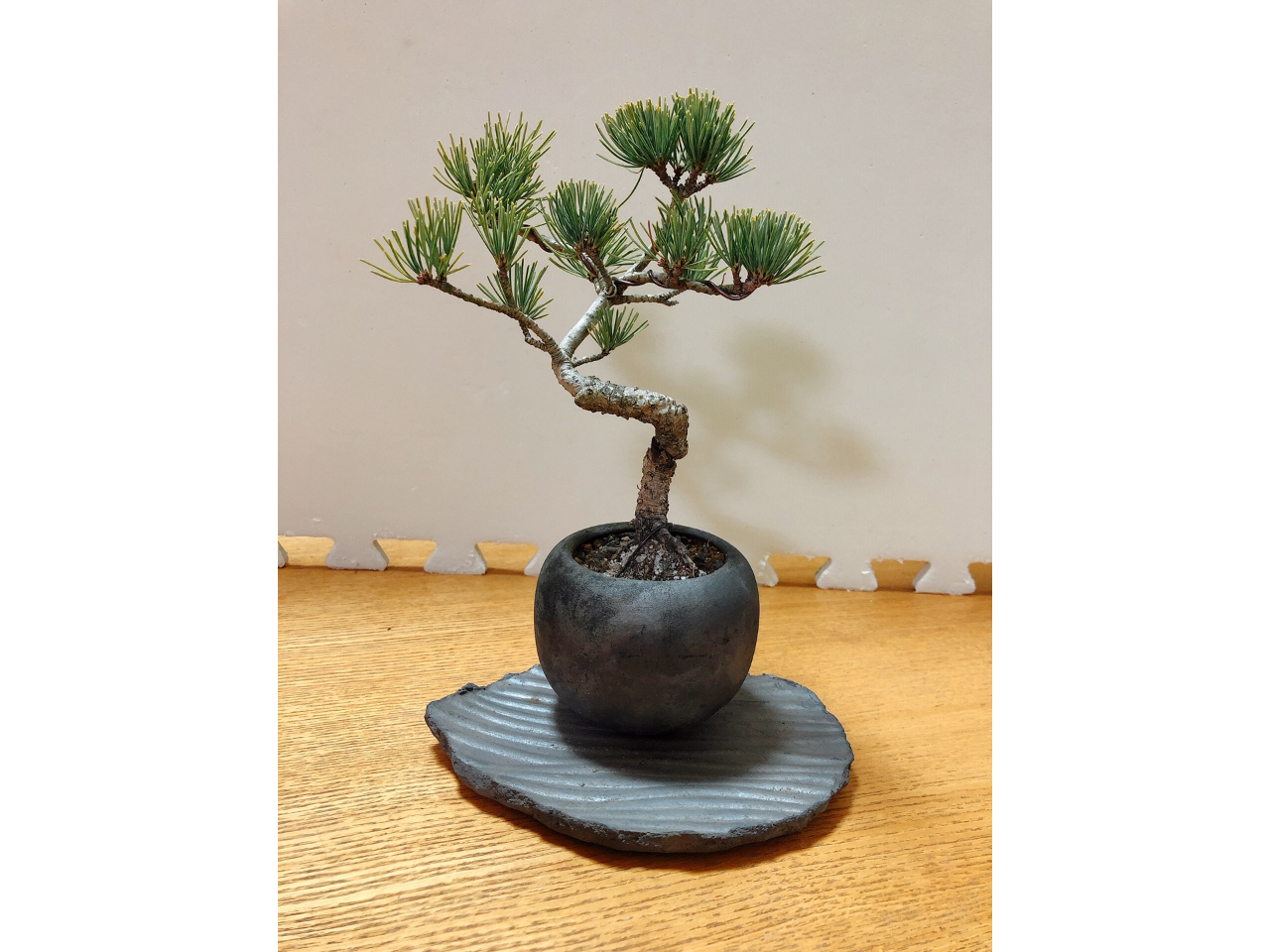 󏭂ȐԐΌܗtgʐ^f~j~