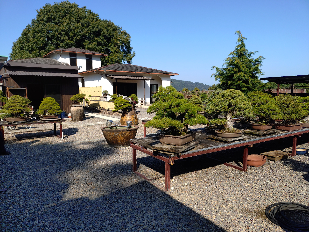 ls̐ΒȉŐԐΌܗt̑ۋʍ