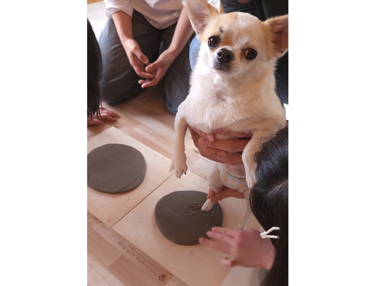 【山形・鶴岡】ペット同伴OK陶芸|肉球足形で記念の器手びねり制作【カップル・ファ...