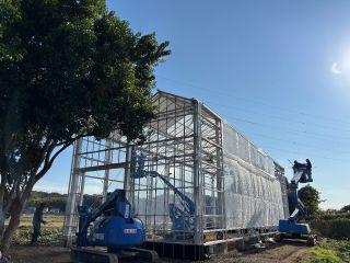 2024年末完成予定、湘南の苺ハウス。天井吊り下げ苺の下で貸切パーティー(持込自由)/貸切苺狩り/ナイト苺狩り/フォトウエディング