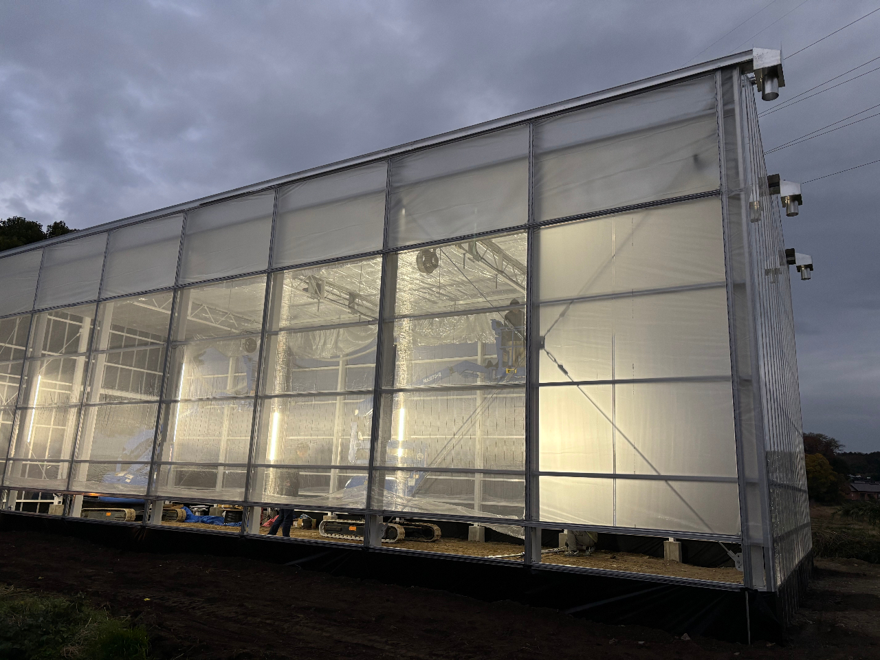 12�����{�����A�ʏ��ň琬����䕂��ڐݗ\��