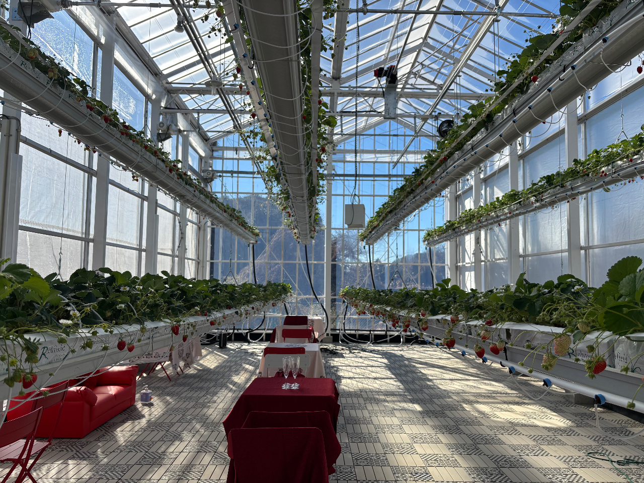 �z�����肪�ǂ����̒�䕃n�E�X