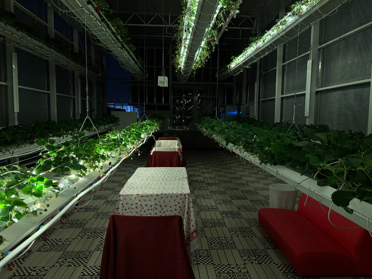 3��ނ̃��C�g�A�b�v��̌����������܂��B�X�^�b�t�ɂ�閳���ʐ^�B�e�T�[�r�X���񋟂��Ă��܂��B