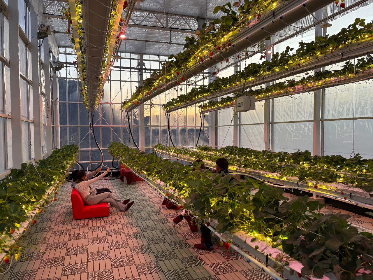 1,600����LED�����̐��̂悤��䕂Ƌ�Ԃ��Ƃ炵�܂��B���q�l���g��LED�̖��邳�����D�݂Œ������������܂��B