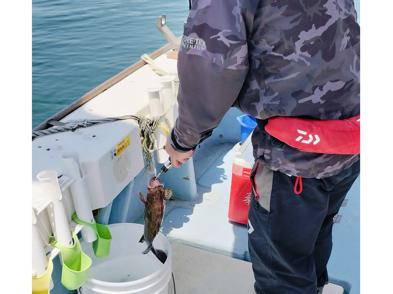 _DłЂނ茩w^ԋ߂ŌwłMdȋ@I