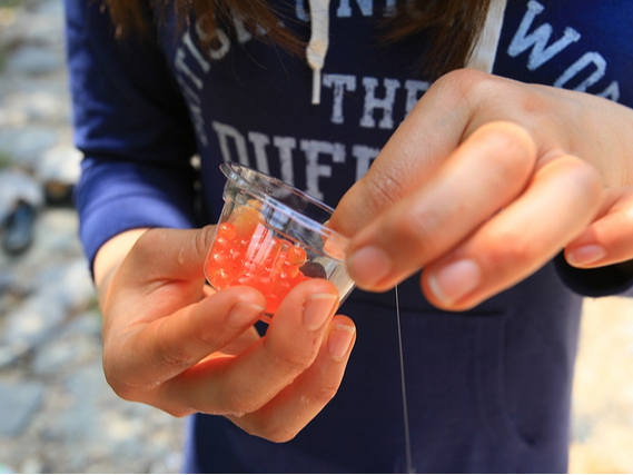 �ނ�ɕK�v�ȉa���v�����Ɋ܂�ł��莝�����ݕs�v�i���R�Ɏ�������ł��������Ă����v�ł��j��