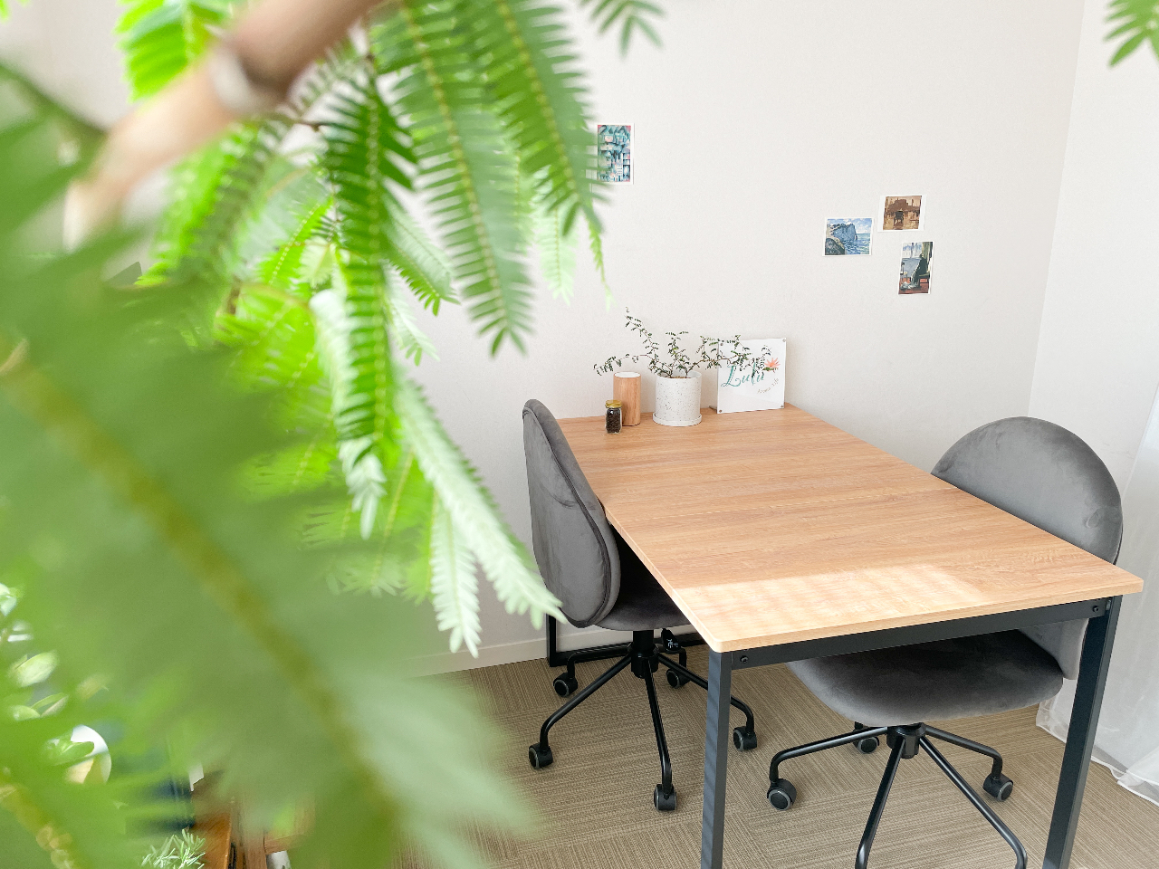 ���邢�X���͋��S�n�̂悢���Ԃ�����܂�