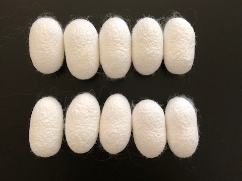 ���Â���Ɏg�����ł��B