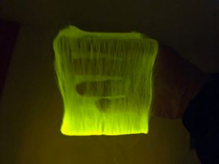 座繰り器を用いて、蛍光繭から巻き取った糸を光らせて観察しているところです。