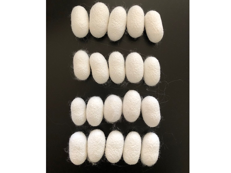 ���Â���Ɏg�����ł��B