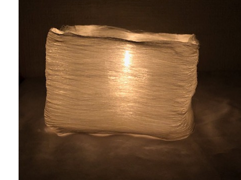 �낤�����̂܂��ɁA�̌����ꂽ���̎��������ă����v�V�F�[�h�̂悤�ɂ����ʐ^�ł��B���z�I�ł��B