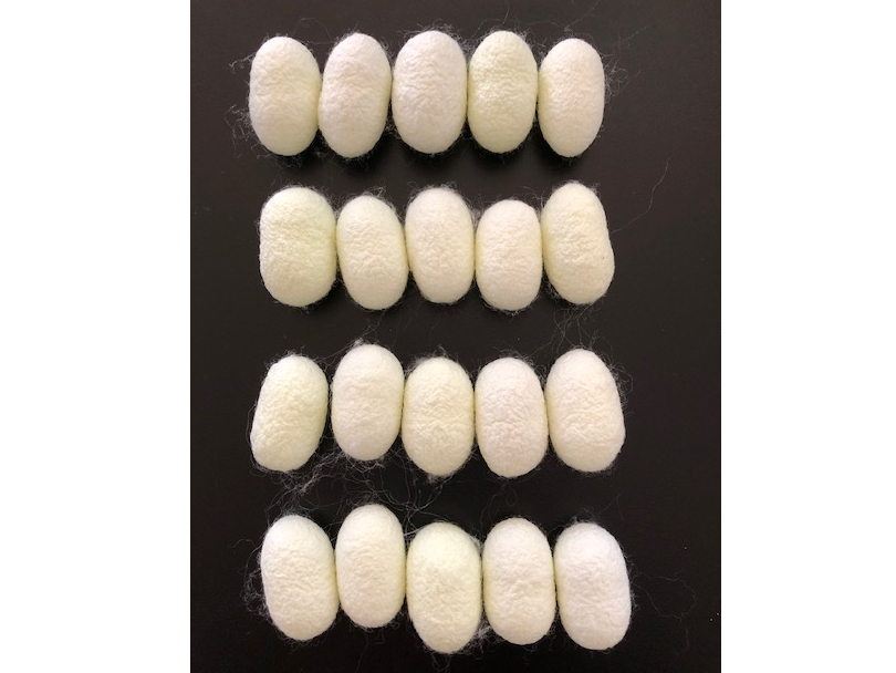 ���Â���Ɏg�����ł��B���点��O�̏�Ԃł��i�����ΐF�Ɍ����܂��j�B