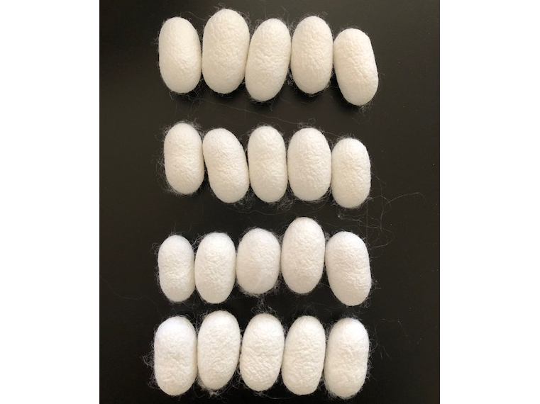 ���Â���Ɏg�����ł��B