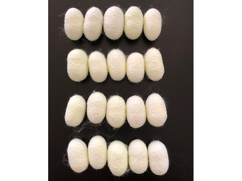 ���Â���Ɏg�����ł��B���点��O�̏�Ԃł��i�����ΐF�Ɍ����܂��j�B