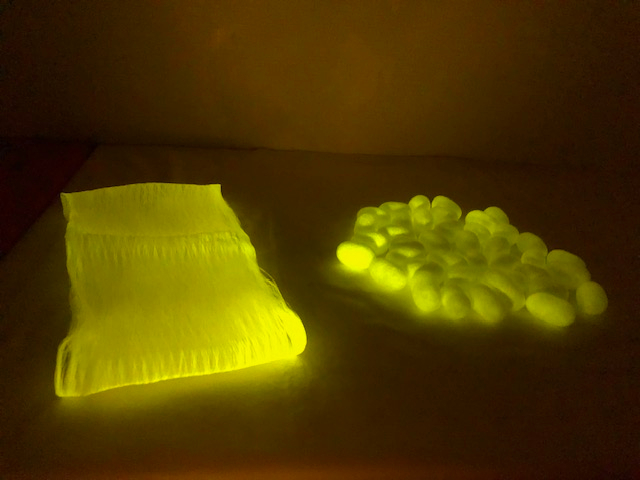 �̌����ꂽ���̎��ƌu���������点�Ă���Ƃ���̎ʐ^�ł��B���z�I�ł��B