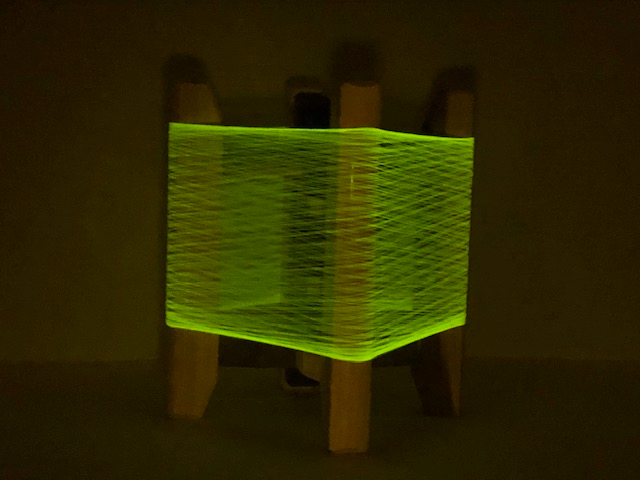 �����I�Èł̒��őN�₩�Ɍ��鐶���B�ʐ^�ł͓`������Ȃ����̊������A���Ў����ő̌����Ă��������B�������A�肢��������̂́A���̎��ł��B